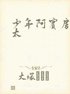 少年阿宾房东太太