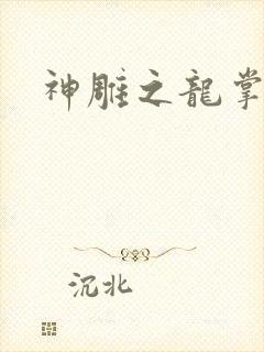 神雕之龙掌门
