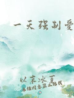 一天强制爱