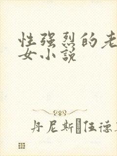 性强烈的老年妇女小说