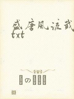 盛唐风流武状元txt