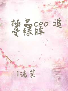 极品ceo 追爱绿眸