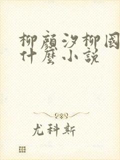 柳颜汐柳国安是什么小说