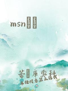 msnС˵
