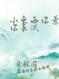 小东西你惹的火你来灭