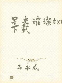 星光璀璨txt下载