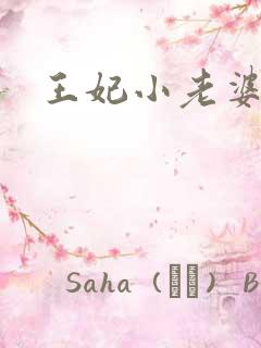 王妃小老婆