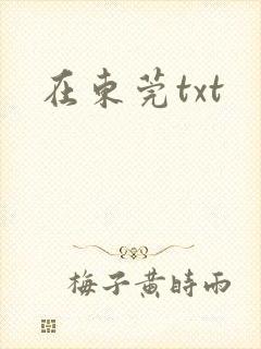 在东莞txt