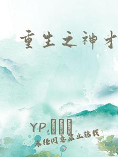 重生之神才风流