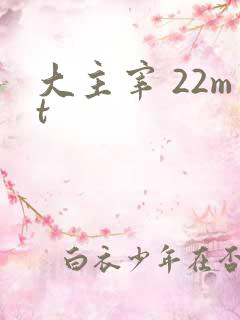 大主宰 22mt