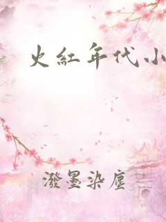 火红年代小说
