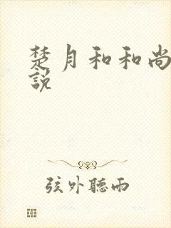 楚月和和尚的小说