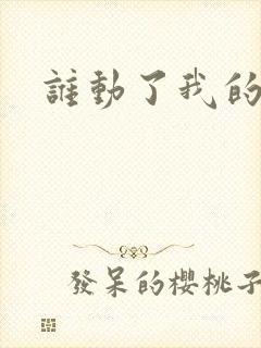 谁动了我的棺材