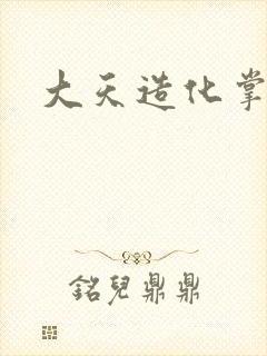 大天造化掌