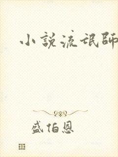 小说流氓师表