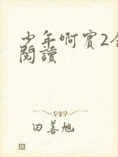 少年啊宾2全文阅读