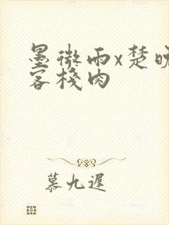 墨微雨x楚晚宁客栈肉