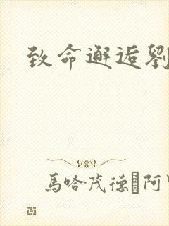 致命邂逅刘小寐