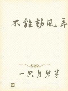 不能动风弄