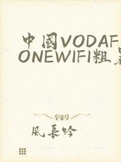 中国VODAFONEWIFI粗暴APP