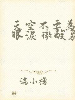 天空不要为我掉眼泪 微酸袅袅