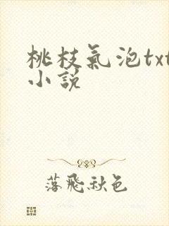 桃枝气泡txt小说