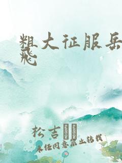 粗大征服岳女双飞