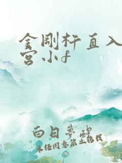 金刚杵直入莲花宫小f