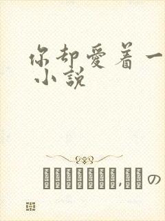 你却爱着一个他 小说