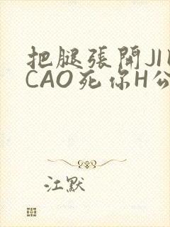 把腿张开JI巴CAO死你H公园