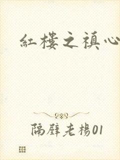 红楼之禛心锁玉