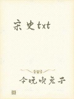 宋史txt