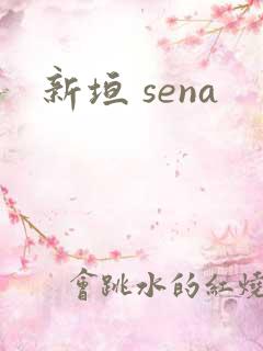 新垣 sena