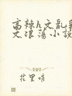 高辣h文乱乳h文浪荡小说苏媚