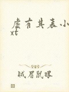 虚有其表小说txt