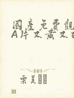 国产免费观看黄A片又黄又硬小说