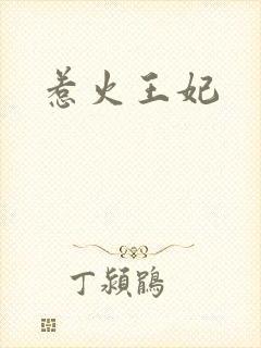 惹火王妃