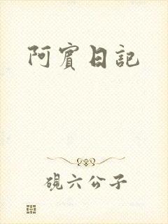 阿宾日记