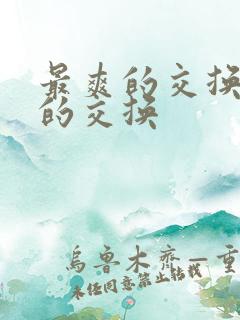 最爽的交换疯狂的交换