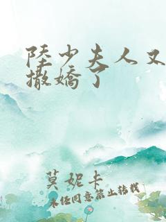 陆少夫人又双叒撒娇了