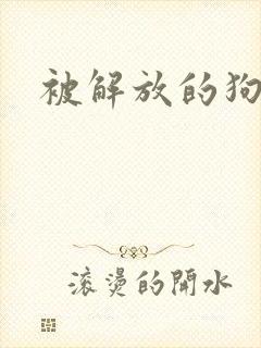 被解放的狗奴