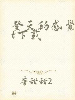 登天的感觉txt下载