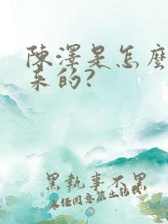 陈泽是怎么火起来的?