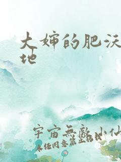 大婶的肥沃的土地