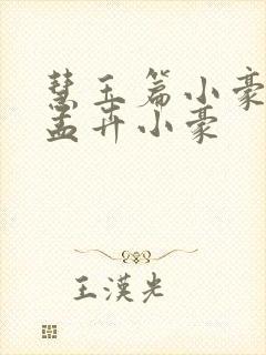 慧玉篇小豪续上孟卉小豪