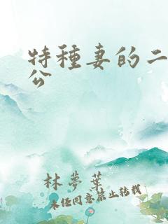 特种妻的二手老公