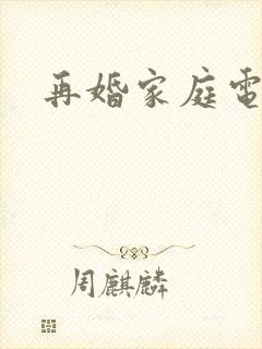 再婚家庭电视剧