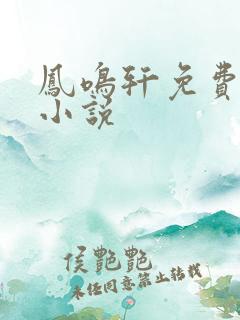 凤鸣轩免费言情小说