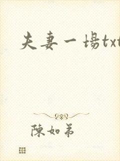 夫妻一场txt