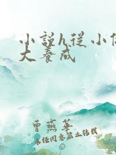 小说h从小做到大养成